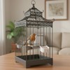 6 Pcs Plastic Bird Food Feeder Bird Cage Feeder Hanging