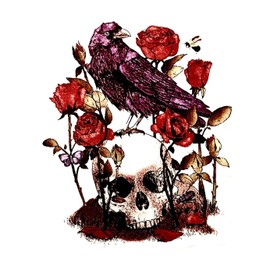 4” Skull Raven Sticker Nevermore Edgar Allen Poe Dark Art Fiction Fantasy Black Decal for Car Bumper Truck Window Laptop
