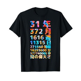 Funny 31st Birthday Old Meter Funny 31st Gift for Women Men Funny Calculator 31st Birthday Gift T-Shirt