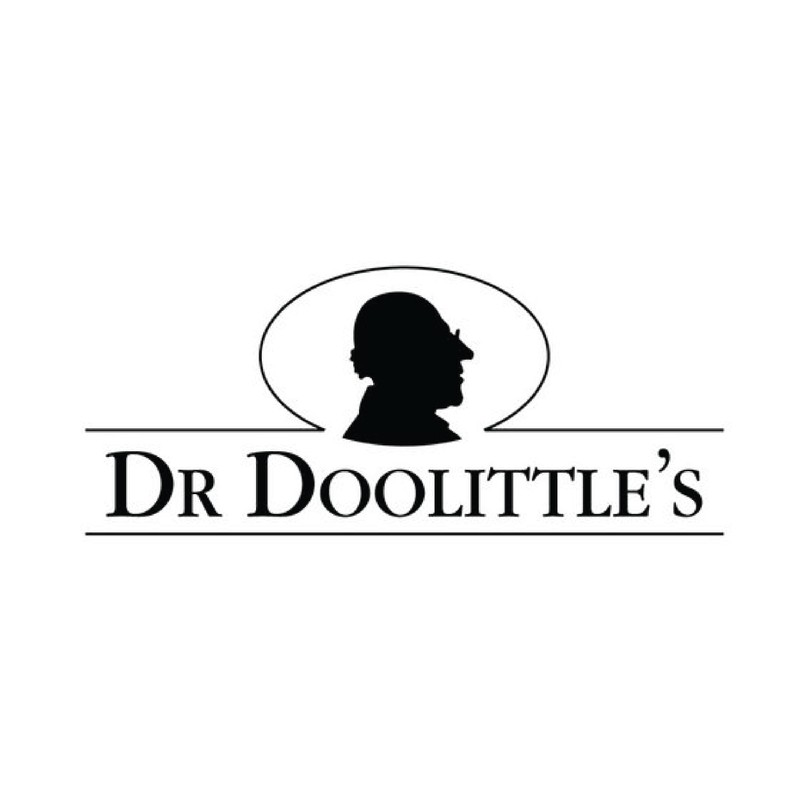 DOOLITTLE Dr Sugar Free Soft Fruit Pastilles for Voice and