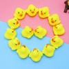 Lezevn Colorful Mini Rubber Ducks Bath Toy Squeak Duck Toy
