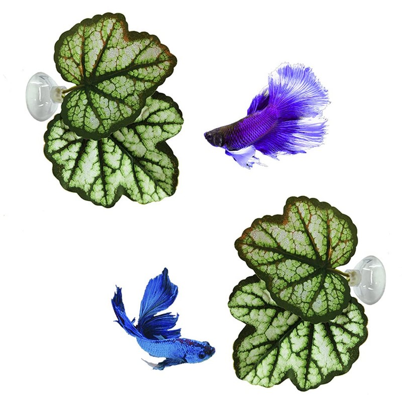 CHSYLFDC 2PCS Betta Fish Leaf Pad with Suction Cup Hammock