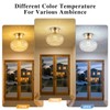 Tbaoinla Semi Flush Mount Ceiling Light - French Gold Finish