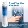 DESENRUIS Water Filter Replacement Compatible with Frigidaire EPTWFU01, EWF02, Pure