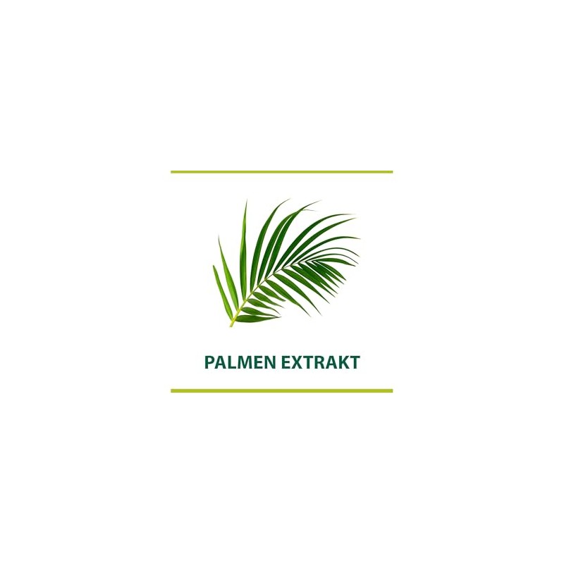Palmolive Men Shave Cream Classic with Palm Extract, Shave Lather