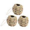 Kisangel 3 Pack Natural Grass Hummingbird Nest House Bird House