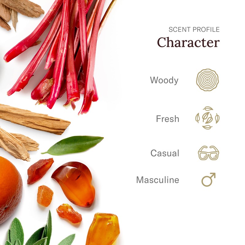 STETSON Personal Care Extra Strength Deodorant by Scent Beauty -