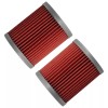 Caltric for Arctic Cat 300 4X4 1998 1999 2000 2001