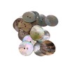 Akoya Natural Shell Buttons in Mother of Pearl Various Sizes