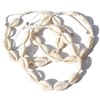 2002.wt Starfish Anklet Fashion Jewellery Made of Cowrie Shells Surfer