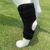 Dog Rear Leg Brace Prevent Licking Fixing Strap Spring Support