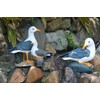 coolboy Real Seagull Figurine Garden Decorations,Seagull Statue Outdoor Decoration,Sea Bird
