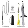 Flirt Pole for Dogs, Extendable Dog Flirt Pole with Detachable
