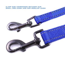 Max and Neo Small Dog Reflective Nylon Dog Leash - We Donate a Leash to a Dog Rescue for Every Leash Sold (Blue, 4x5/8)