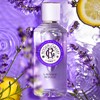 ROGER & GALLET Eau Perfume Lavand 3.4 fl oz (100