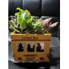 Nancy Pew Cute School Bus Planter - Or Multiply Use