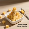 Premium Freeze-Dried Mango Slices 4.2oz (120g) - 100% Sweet Mango,