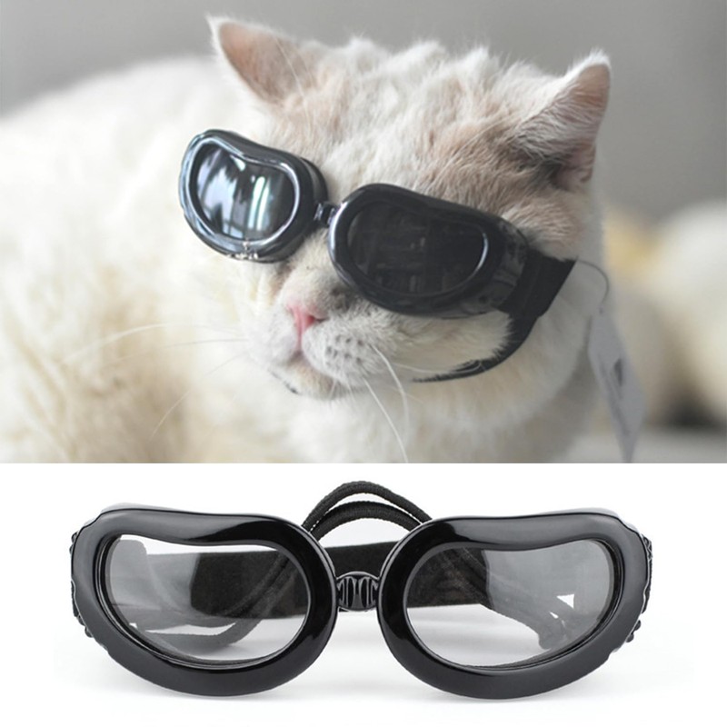 1 Piece Puppy Windscreen, Outdoor Sunscreen Glasses, Pet Supplies, Elastic