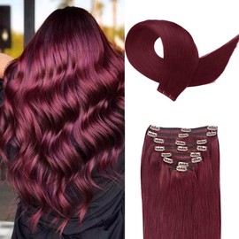 Burgundy Clip in Hair Extensions Real Human Hair 8 Pcs Wine Red 99 J Seamless Human Hair Clip in Extensions 22 Inch Silky Straight Long 75g Real Hair Extensions Clip ins Human Hair for Women
