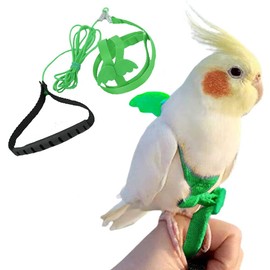 FORZENA Birds Adjustable Harness and Leash, Parrot Outdoor Flying Training Traction Rope Straps with Cute Wing for Small Animal Birds, Parrots, Pigeons, Lizard, Turtles (S,Green)