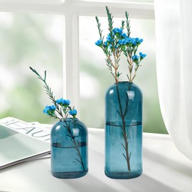 BlogBlog Glass Bud Vases for Flowers - Small Glass Vases for Fordecoration, Bulk Flower Vase for Living Room Dining Table Wedding Party Events Home Decor Floral Arrangements (Sky Blue, 3pcs)