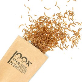 OMo 건조고소애 80g 고소애 밀웜 Dried Mealworms 80g