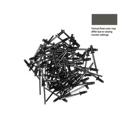EAGLE 1: Stainless steel Rivets 1/8" x 1/4" (#43) (100, Burnished Slate)