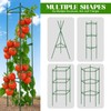 TOCCYARD 3 Pack Tomato Cages for Garden Plant Support, Up