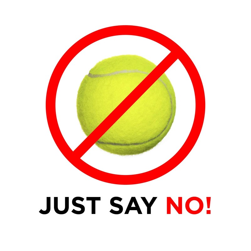 Nova Walker Skis for Folding Walkers Durable Glide Attachments for