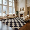 Washable 3x4.8 Checkered Rug, Black and White Area Rug, Boho