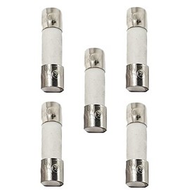 Firsgrill Fuse Replacement for Traeger, Pit Boss, Z Grills & Weber Wood Pellet Grills (1.6A 250V for Weber)