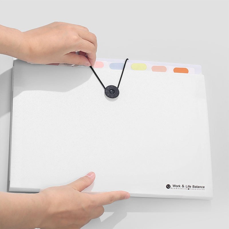 Pack of 1 A4 Document Folder with 12 Compartments, Expanding