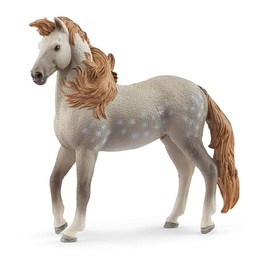 schleich 14895 Andalusian Stallion , from 5 years HORSE CLUB - Figurine, 12 x 12 x 12 cm