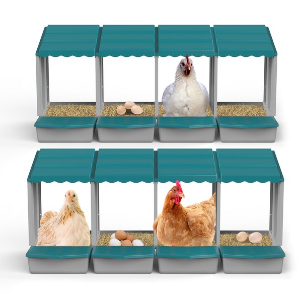 Nesting Boxes for Chicken Coop, Chicken Laying Boxes with Egg