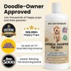 We Love Doodles- Champú de Avena Premium 5 en 1