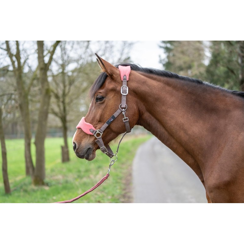 HKM, Horse Halter Set, Lead Rope, Fly Fringe, Knitted, 180