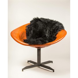 Natural Milan Thick and Lush 2.5 inch Pile Anti-Skid Backing Hypo-Allergenic Premium Quality Luxury New Zealand Shearling 2 x 3 ft Sheepskin Area Rug Throw Single Pelt, Black