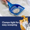 Fresh Step Fresh Step Clean Paws Cat Litter with Febreze