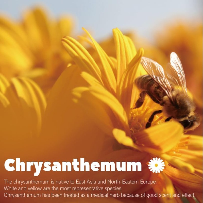 [ 6oz/170g ] Farmer Queen Premium Qualified Dried Golden Chrysanthemum