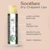 Lip Balm Organic (Original Unflavored) 4 Tube Pack Pure and