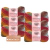 Lion Brand Yarn - Landscapes - 6 Pack with Needle