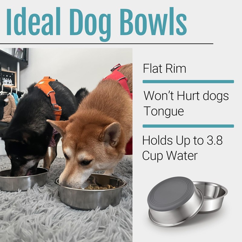 PEGYY11 Nonslip Stainless Steel Dog Bowls, 3.8 US Cup, 2
