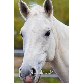 Notebook: 6" X 9" 150 page college lined soft covered journal,notebook, diary with " two white horse " on a matte cover