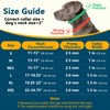 Crazy Felix No Pull Martingale Collar for Large Medium Small