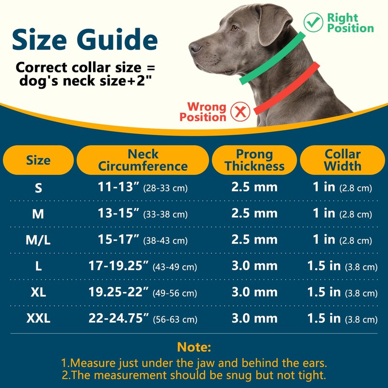 Crazy Felix No Pull Martingale Collar for Large Medium Small