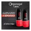 Shampoo Grisi Organogal Negro Intenso 400ml