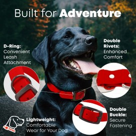 Regal Dog Products Medium Red Dog Collar with Heavy Duty Double Buckle & D Ring | Vinyl Coated, Custom Fit, Adjustable Biothane Dog Collar | Chew Resistant Waterproof Center-Ring Collar for Dogs