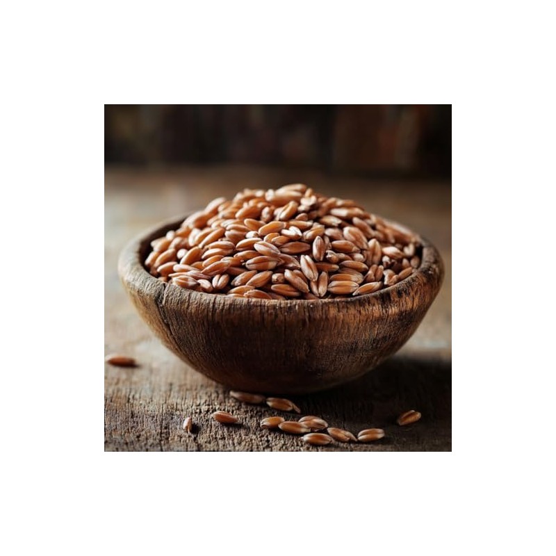 Hard Red Winter Wheat Berries, High in Iron, Zinc, and
