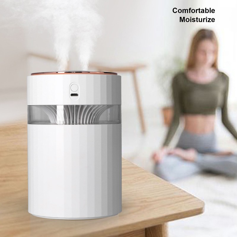 Humidifier Large Capacity Portable 900ml Mute Double Spray Design Desktop