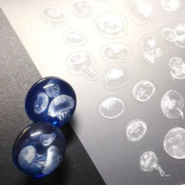 Tsumekira RC-KRG-101 Resin Seal, Kaigetsu